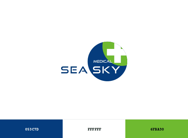 Seaskymedical brand color palette