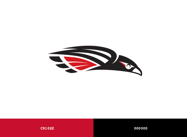 Southern Oregon Raiders brand color palette