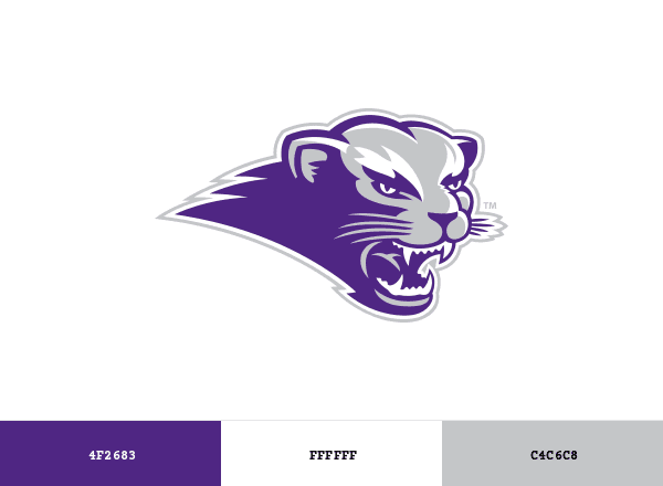 Southwest Baptist Bearcats brand color palette