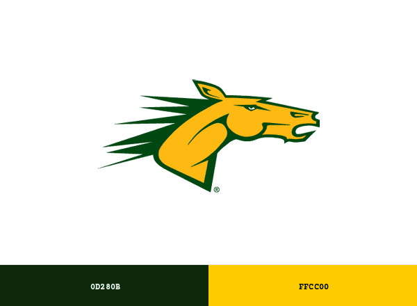 SUNY Delhi Broncos brand color palette