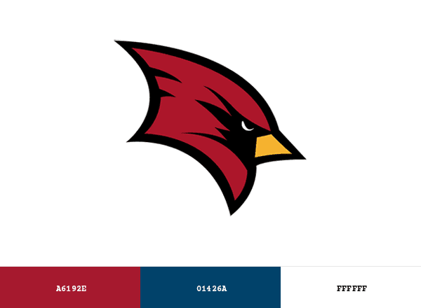 SVSU Cardinals brand color palette