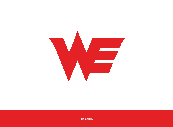 Team WE brand color palette