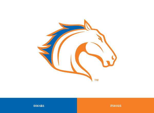 Texas–Arlington Mavericks brand color palette