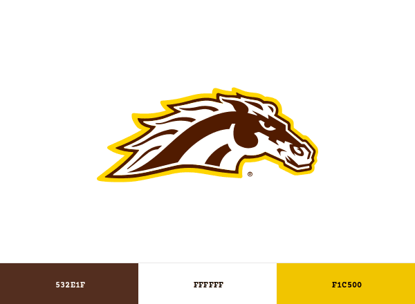 Western Michigan Broncos brand color palette
