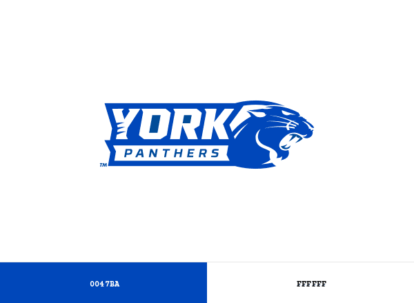 York College Panthers brand color palette