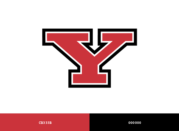 Youngstown State Penguins brand color palette