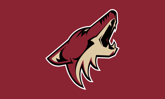 Arizona Coyotes