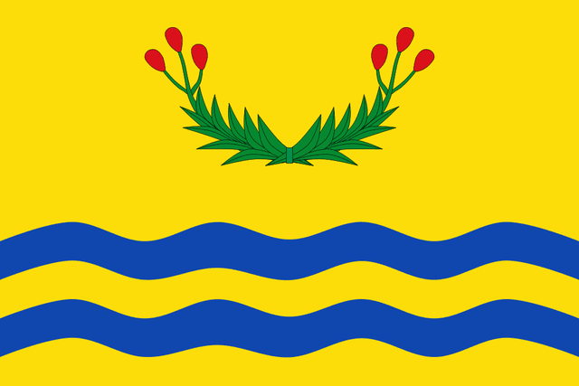 Juncos