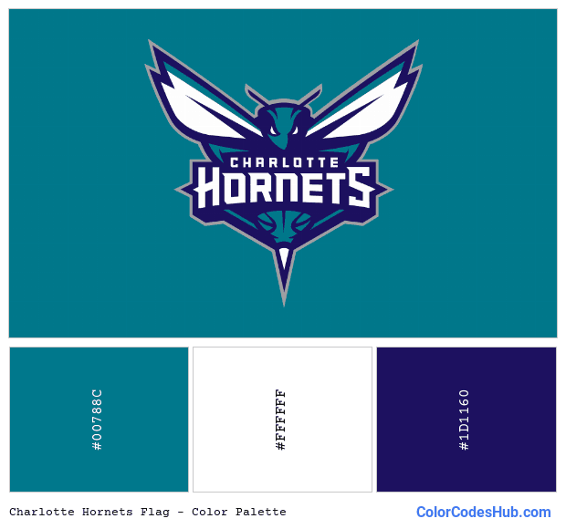 Charlotte Hornets flag color palette