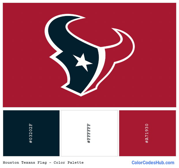 Houston Texans flag color palette