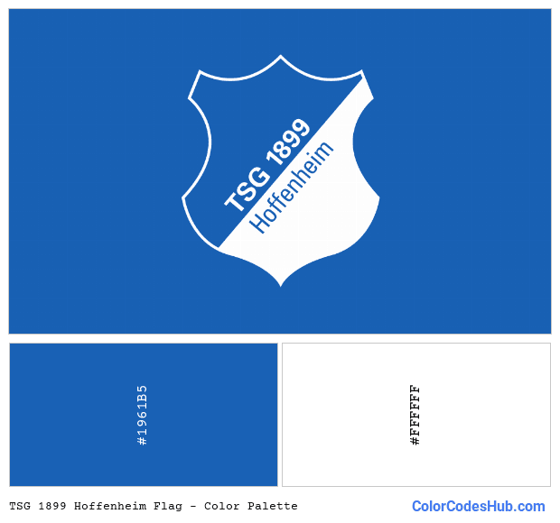 TSG 1899 Hoffenheim flag color palette
