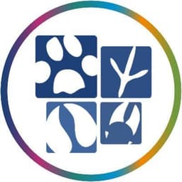 AAVSB