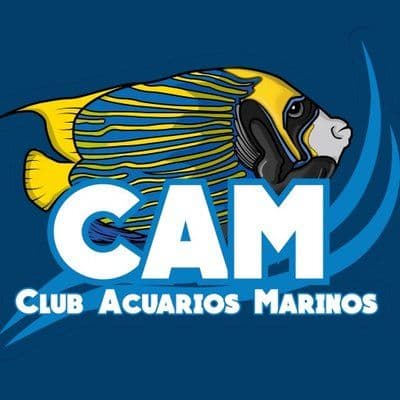 CAM color logo