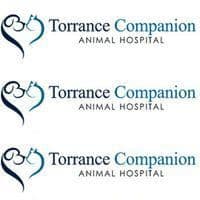 Torrance Companion Animal Hospital | Torrance CA