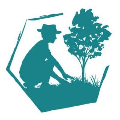 Les Alvéoles color logo