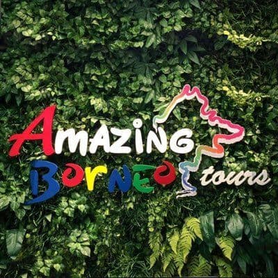 Amazing Borneo color logo