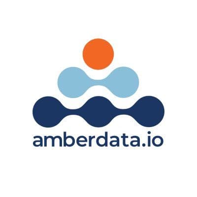 Amberdata color logo