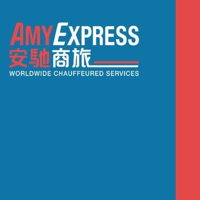 AmyExpress color logo