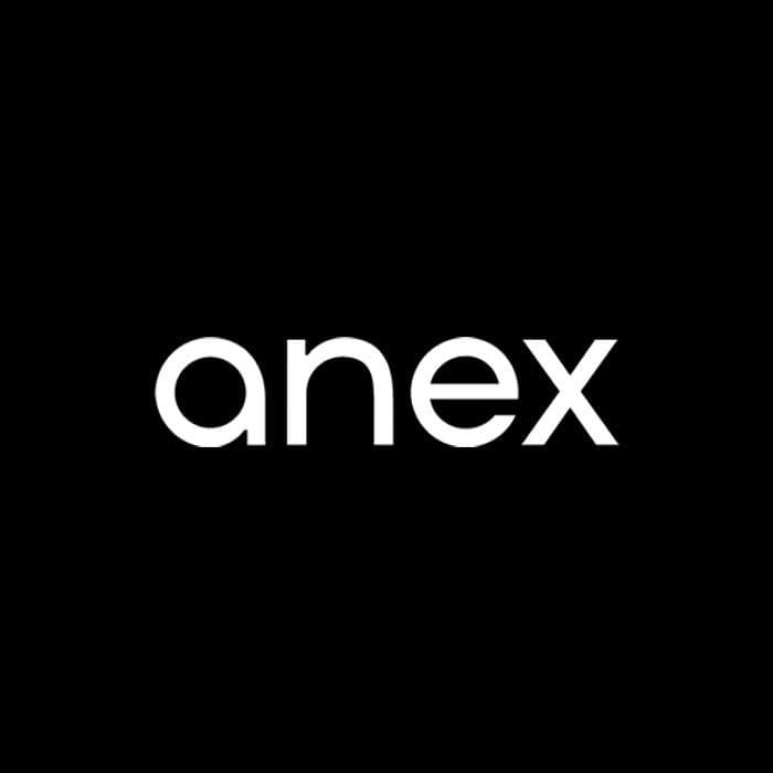 Anex Baby color logo
