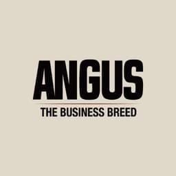 American Angus Association