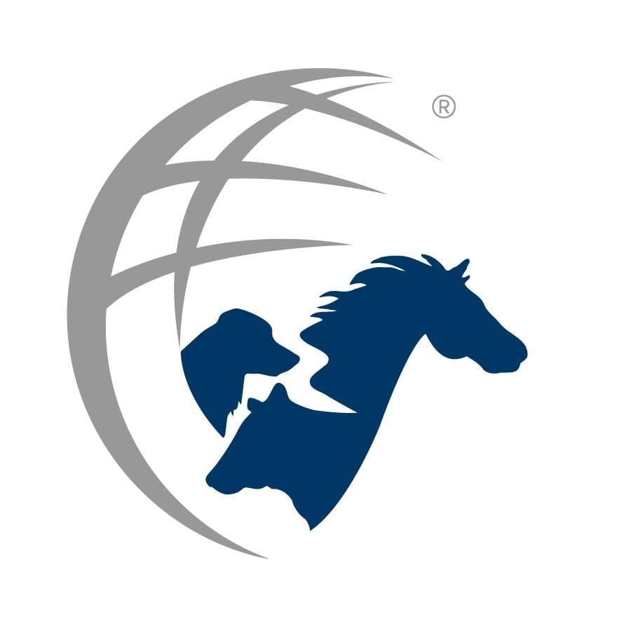 Animal Health International color logo