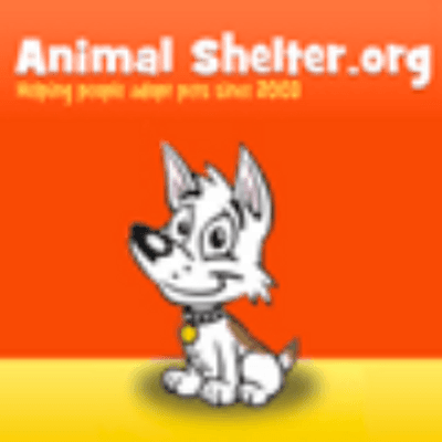 Animal Shelter color logo