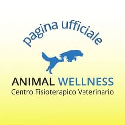 Animal Wellness fisioterapia