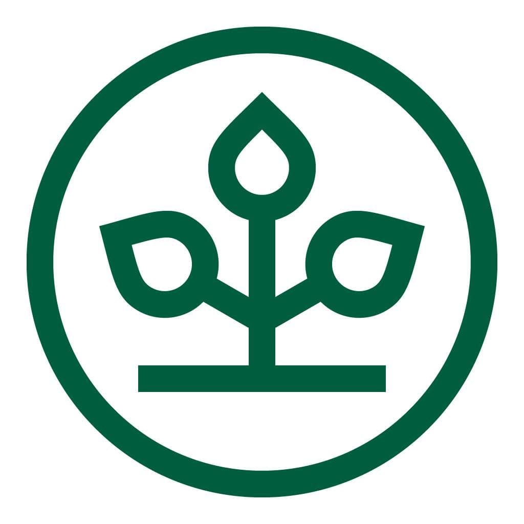 AOK color logo