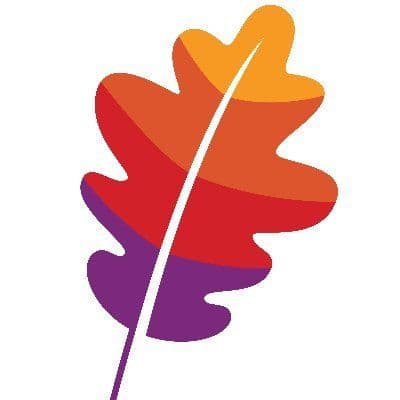 Apache color logo