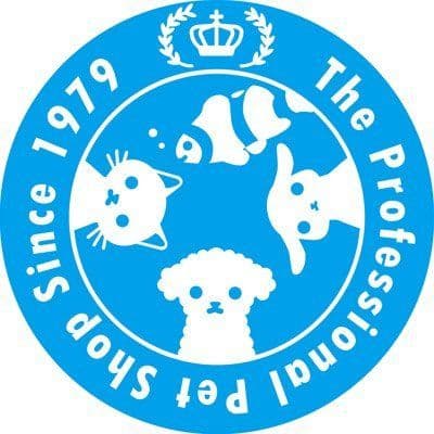 チャーム公式 color logo