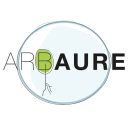 Arbaure