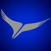 Fly Arik Air color logo