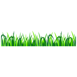 Artificial Grass Geelong Specialist