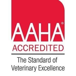 VA Augusta Valley Animal color logo