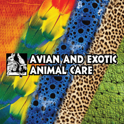 Avian And Exotic