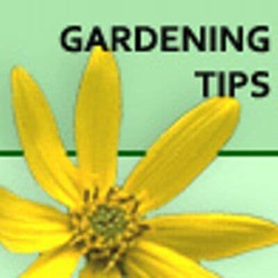 Backyardgardener color logo