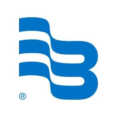Badger Meter color logo