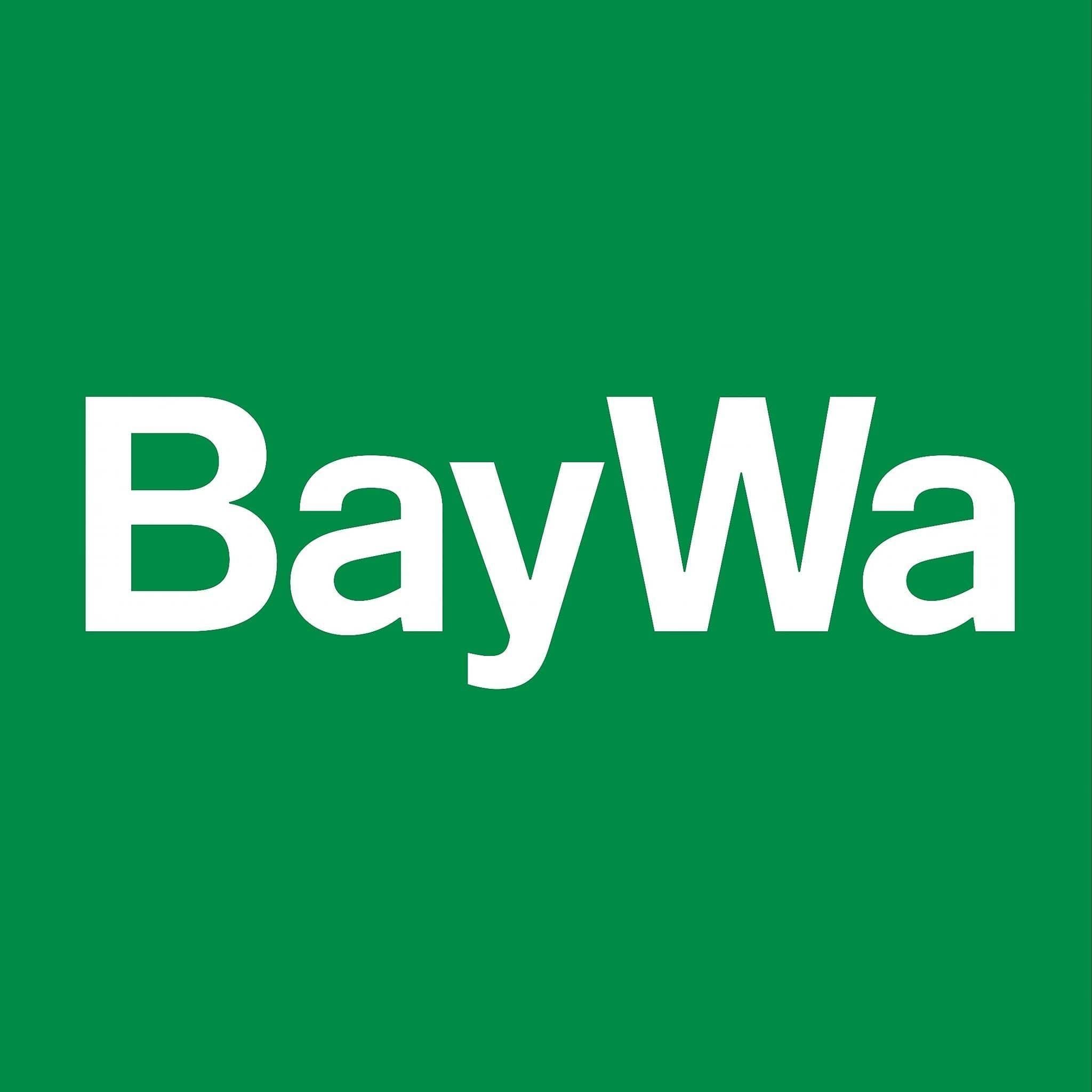 BayWa AG color logo