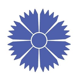 Belavia Airlines