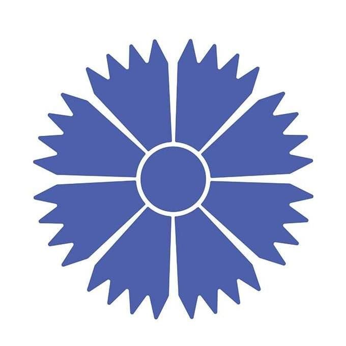 Belavia Airlines color logo