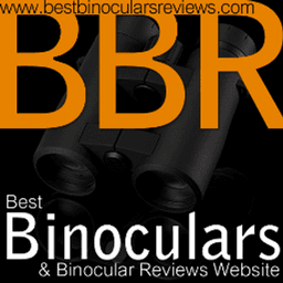 Best Bino Reviews