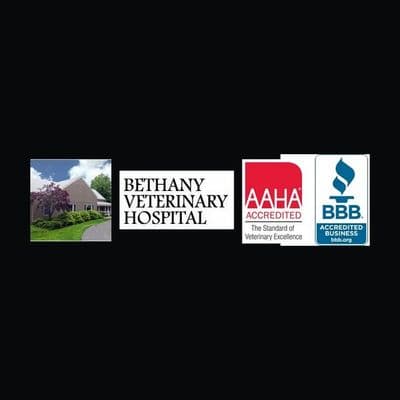 Bethany Vet Hospital color logo