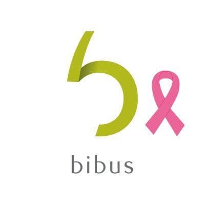 Bibus color logo