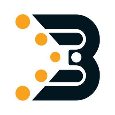 Bidarz color logo