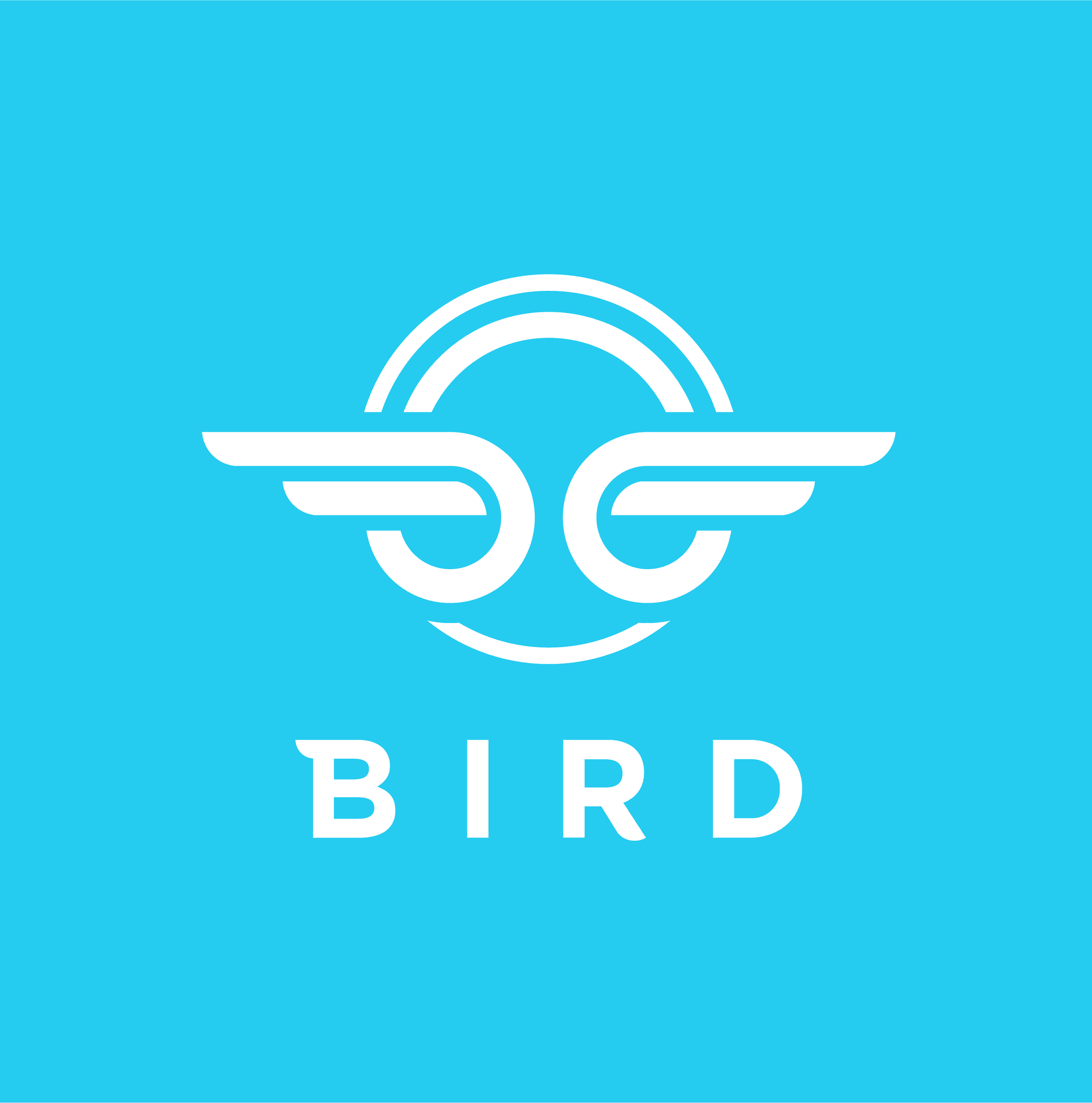Bird color logo