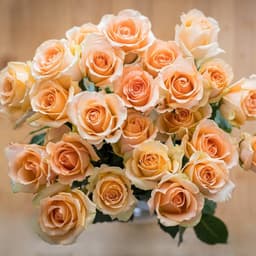 Blooming Fresh Flowers