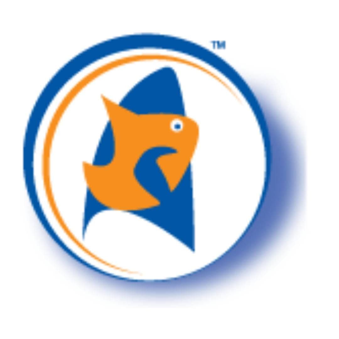 Blue Bay Commodities color logo