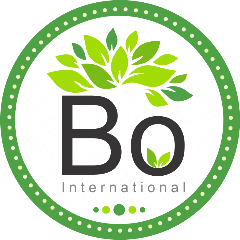 Bo International color logo