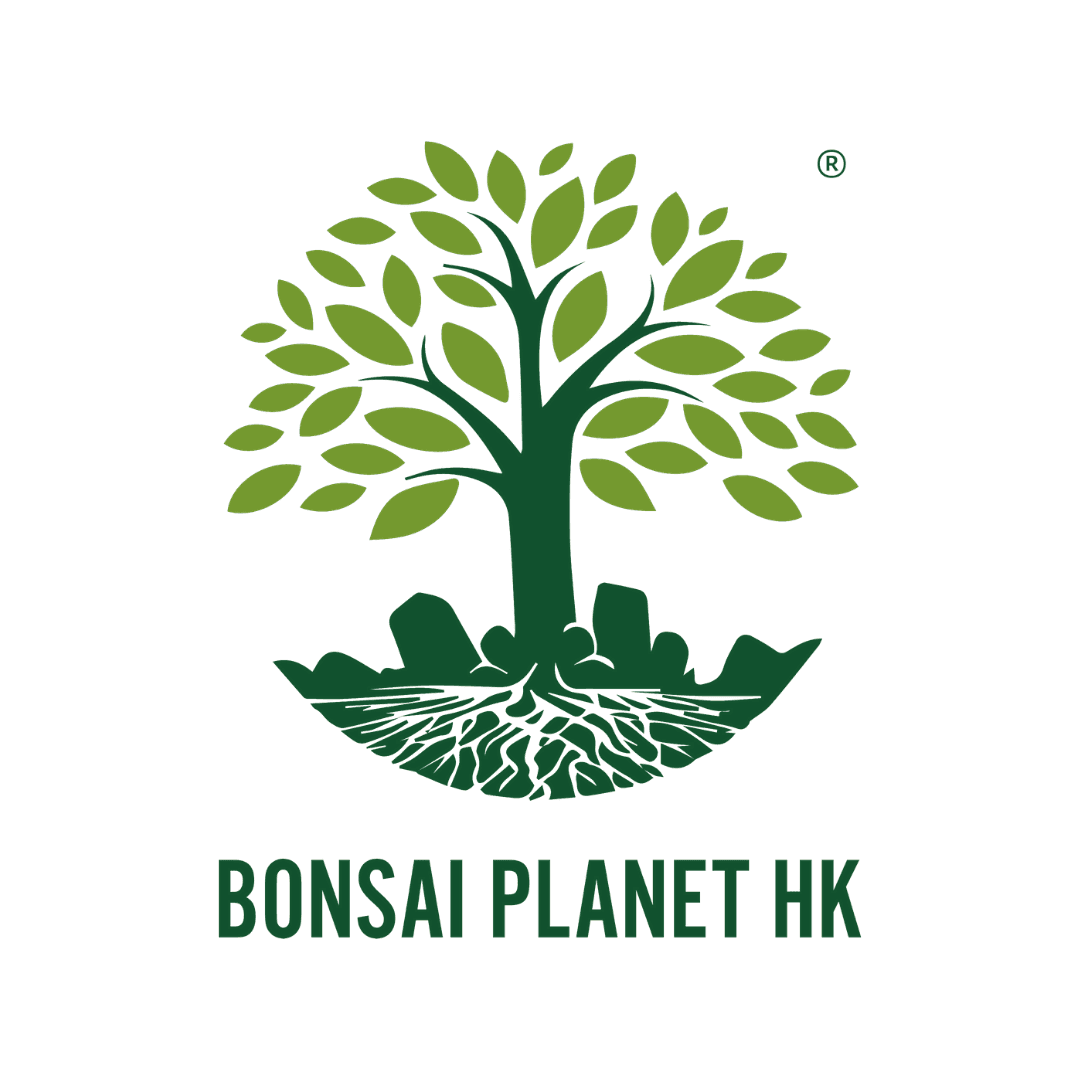 盆景星球 Bonsai Planet color logo