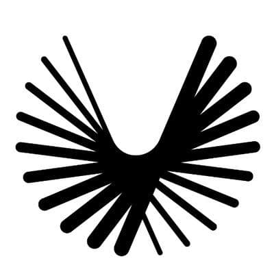 Boom Supersonic color logo